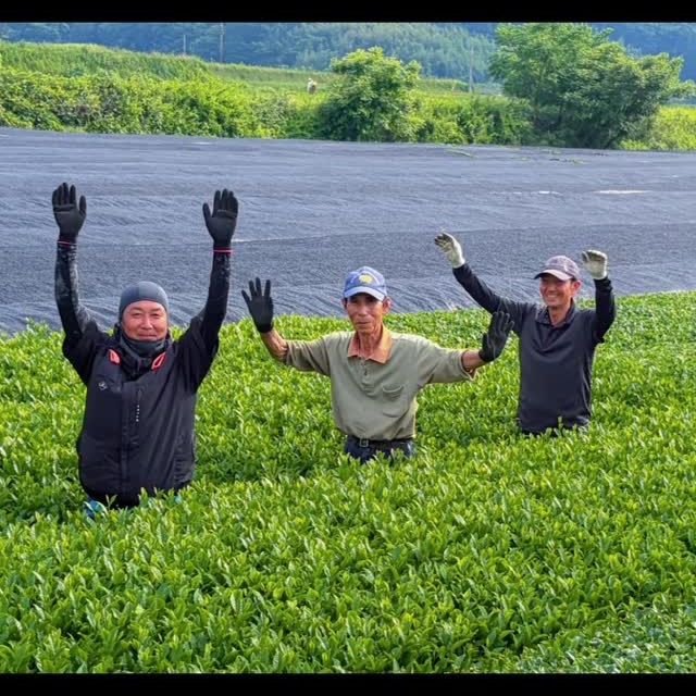 茶畑で万歳する3人