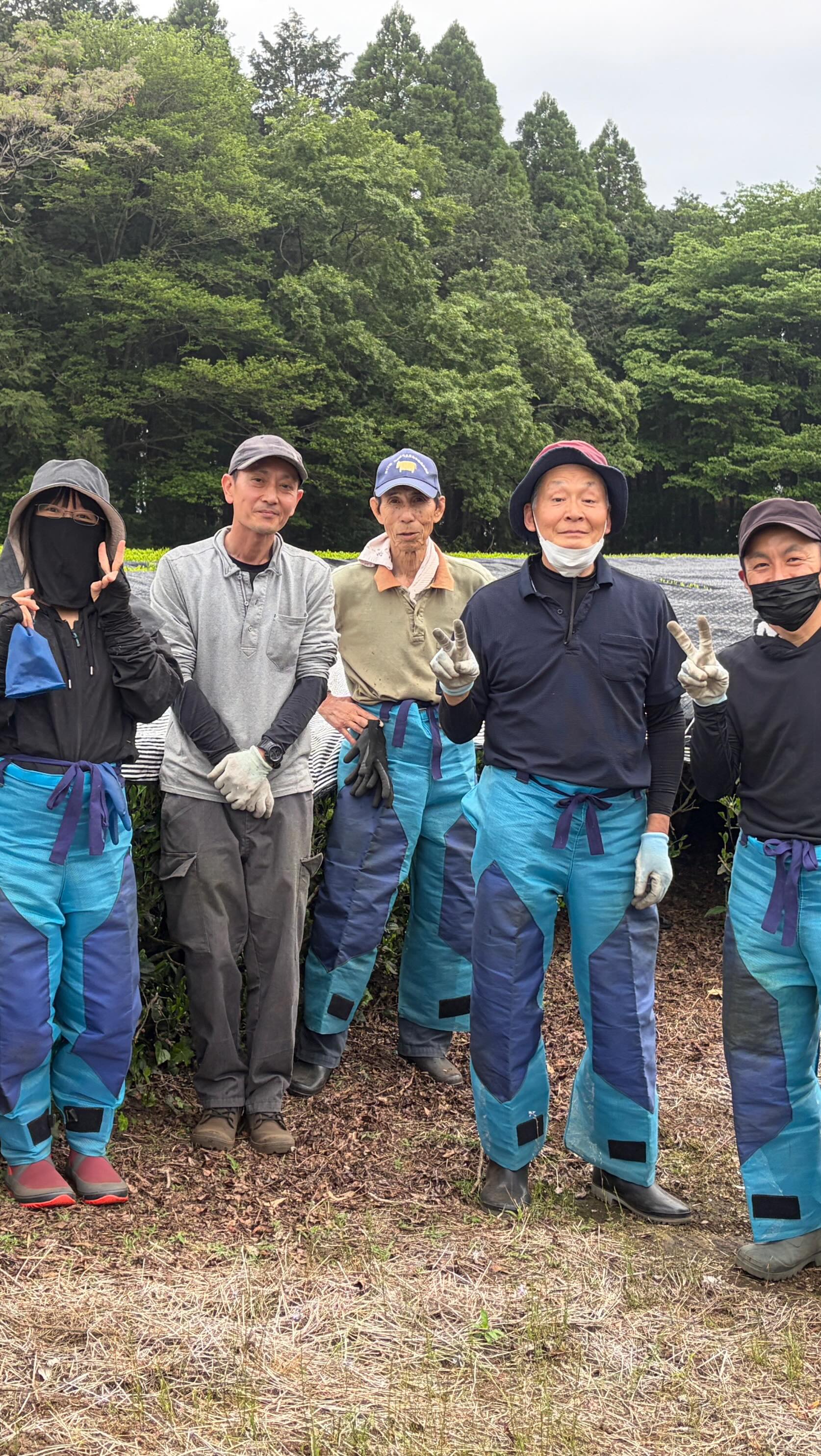 矢野製茶のお手伝いの皆さんの集合写真