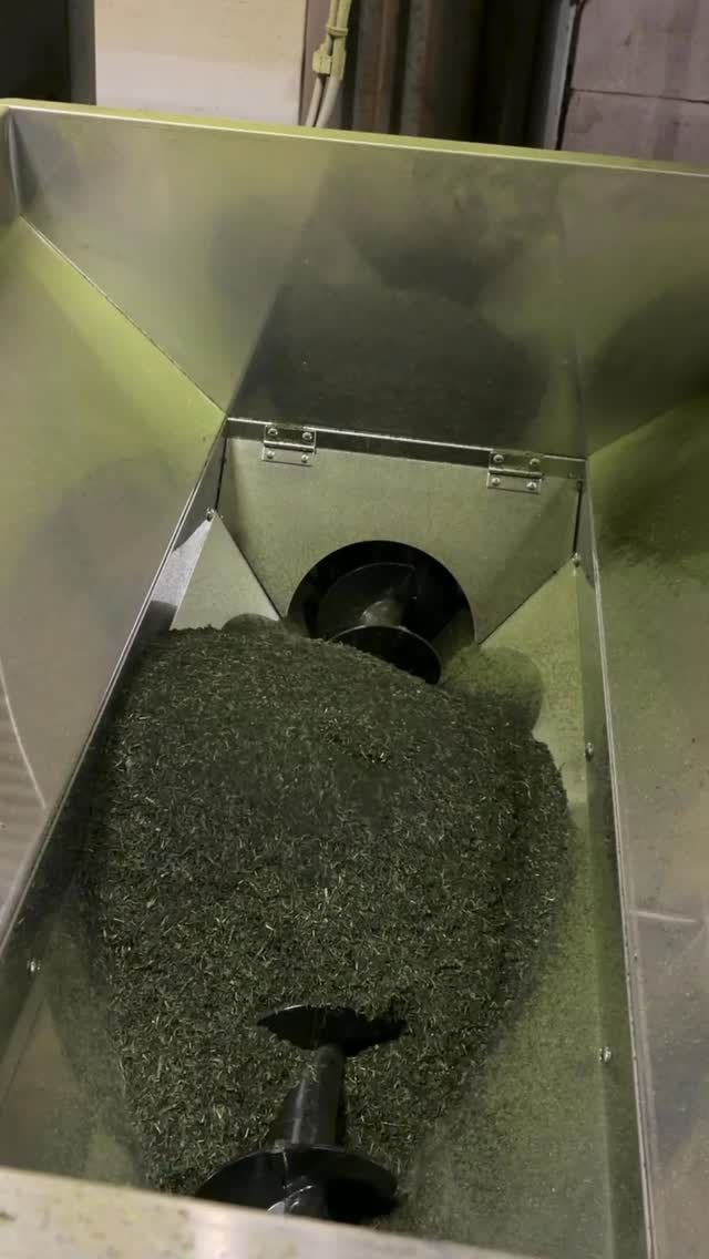 自家工場で製茶される茶葉
